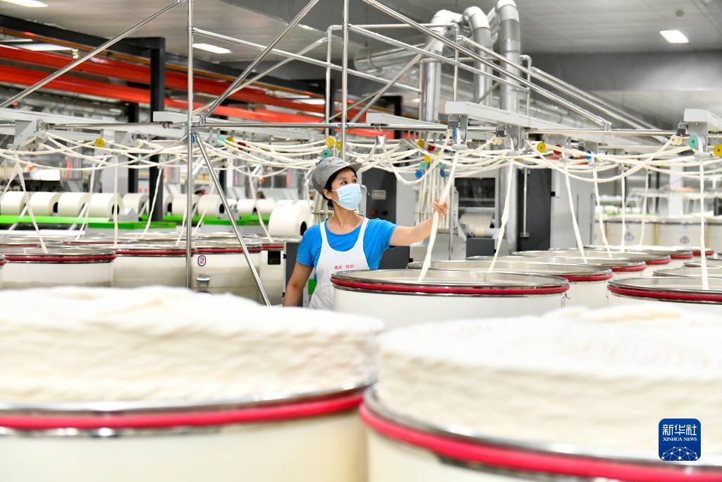 龙珠探宝上下分微信